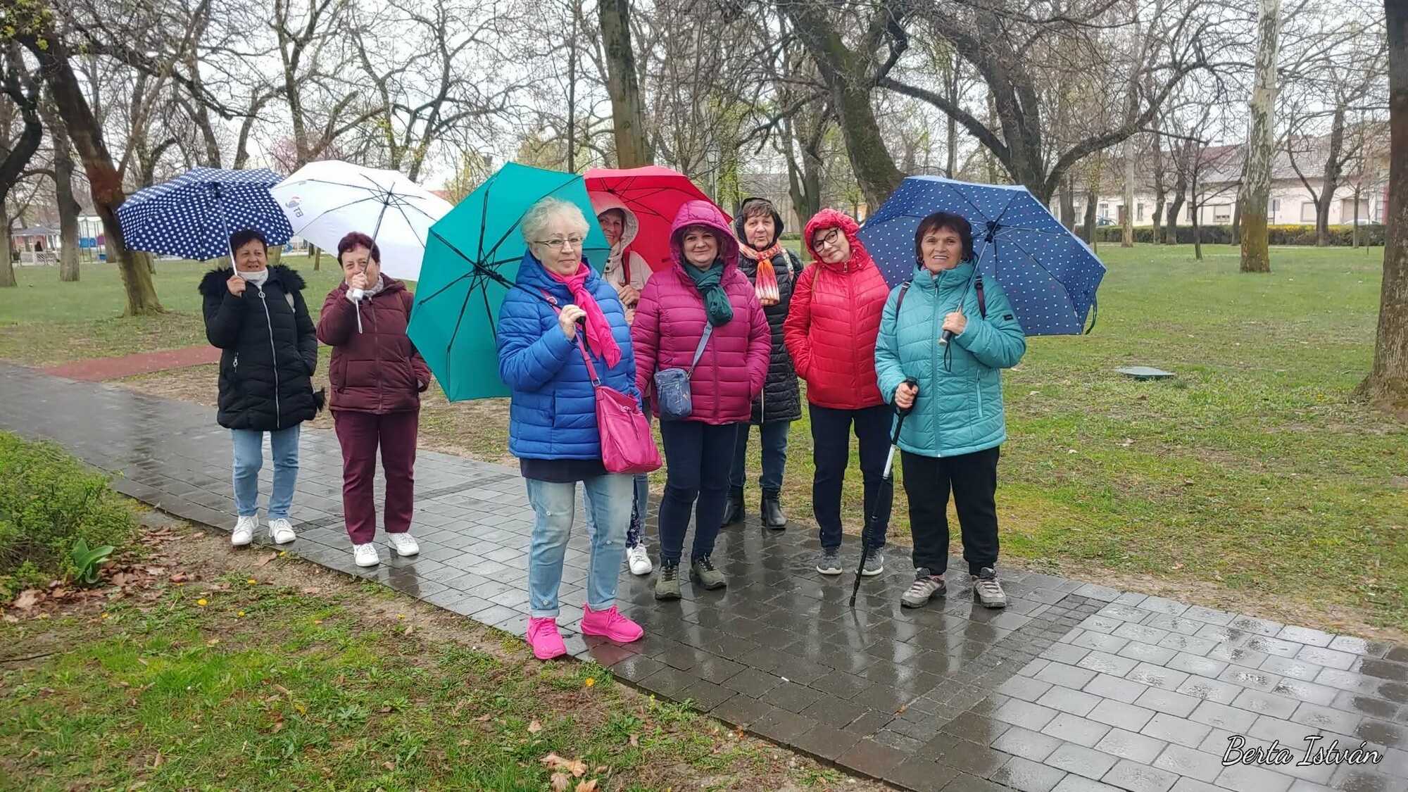 gyaloglnap mohcsop 2026. 03