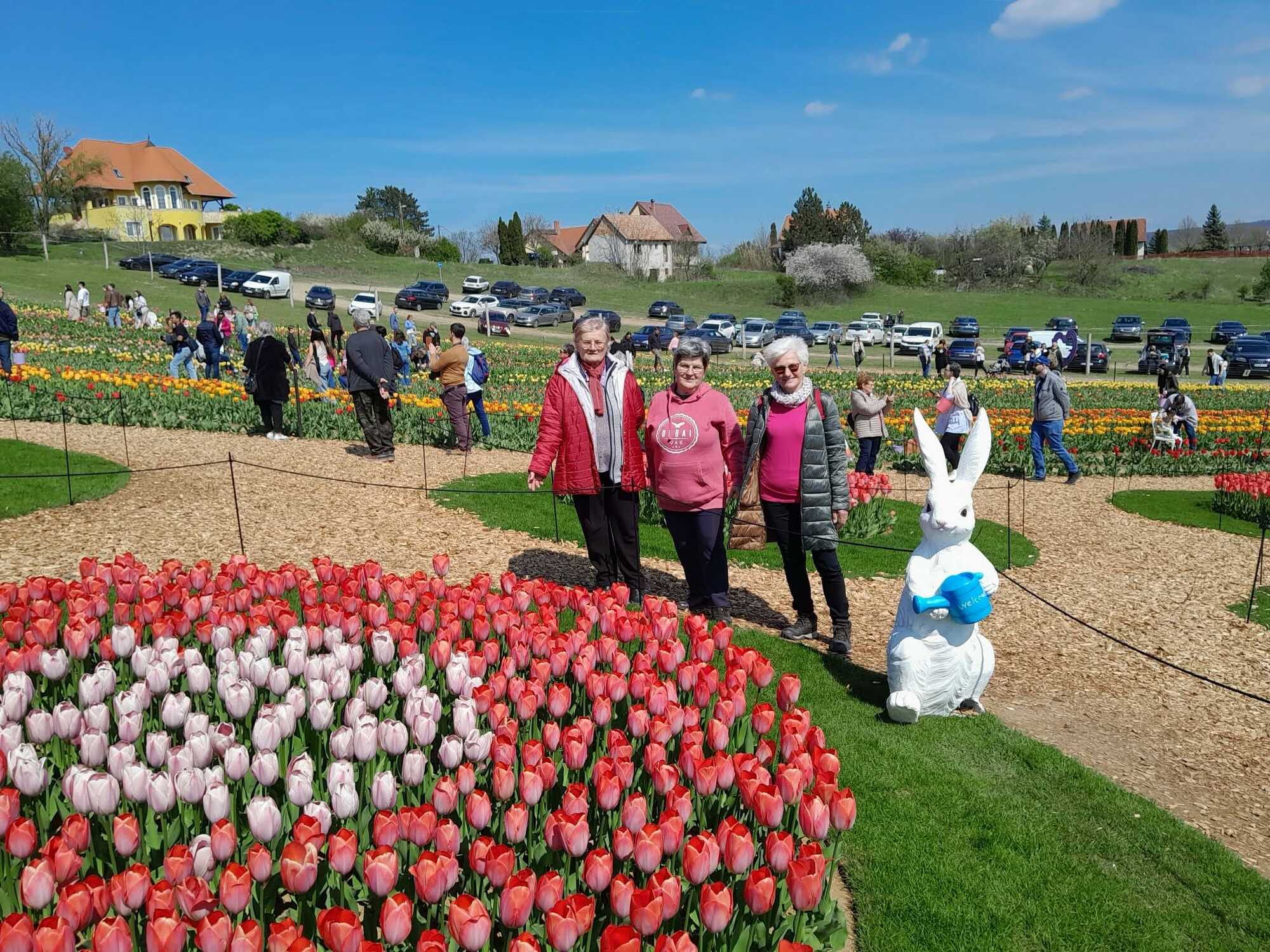 koroshegy kirandulas szigvarcsop 2026jpg