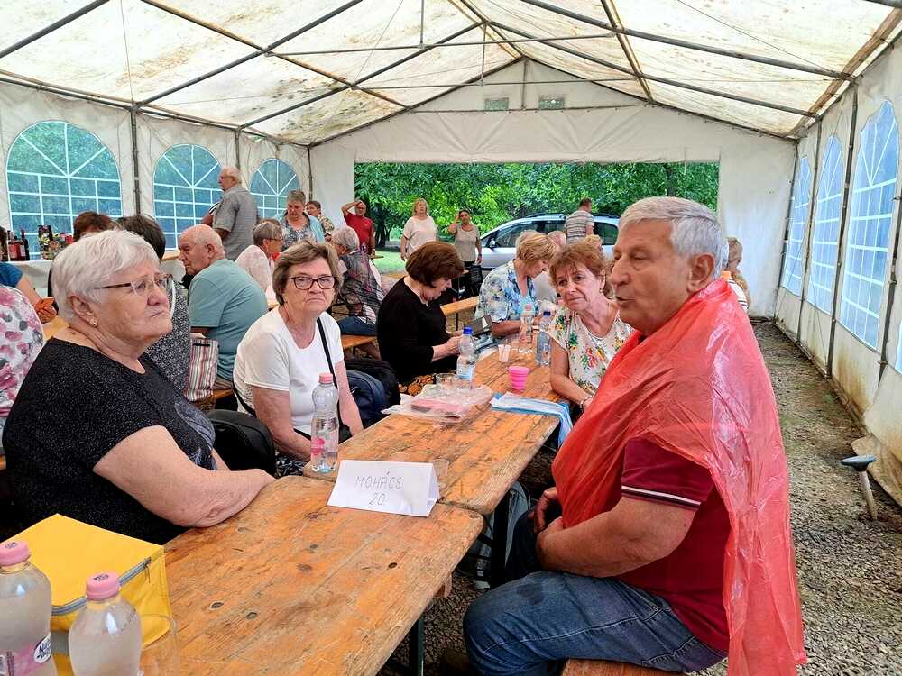 turonyi piknik